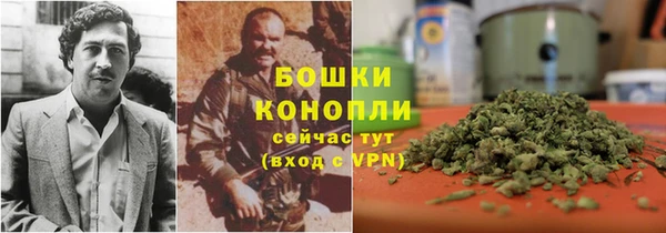 индика Баксан