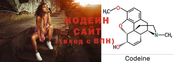 индика Баксан
