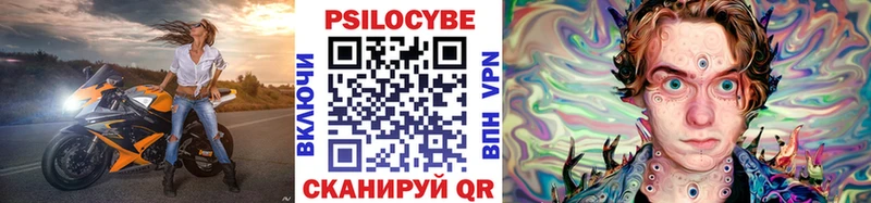 Галлюциногенные грибы Psilocybe Борисоглебск