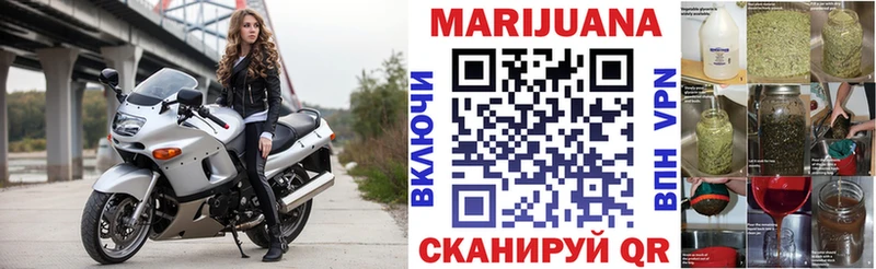 Бошки марихуана THC 21%  гидра ссылки  Борисоглебск 